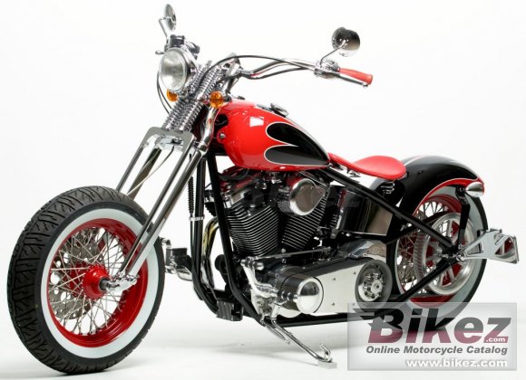 2011 Covingtons Beach Cruiser photo